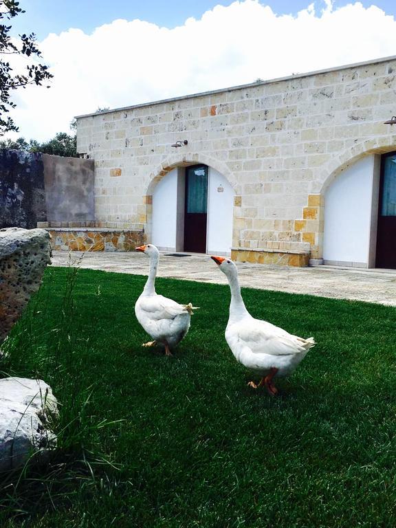 فيلا Masseria Pappo كوبرتينو المظهر الخارجي الصورة